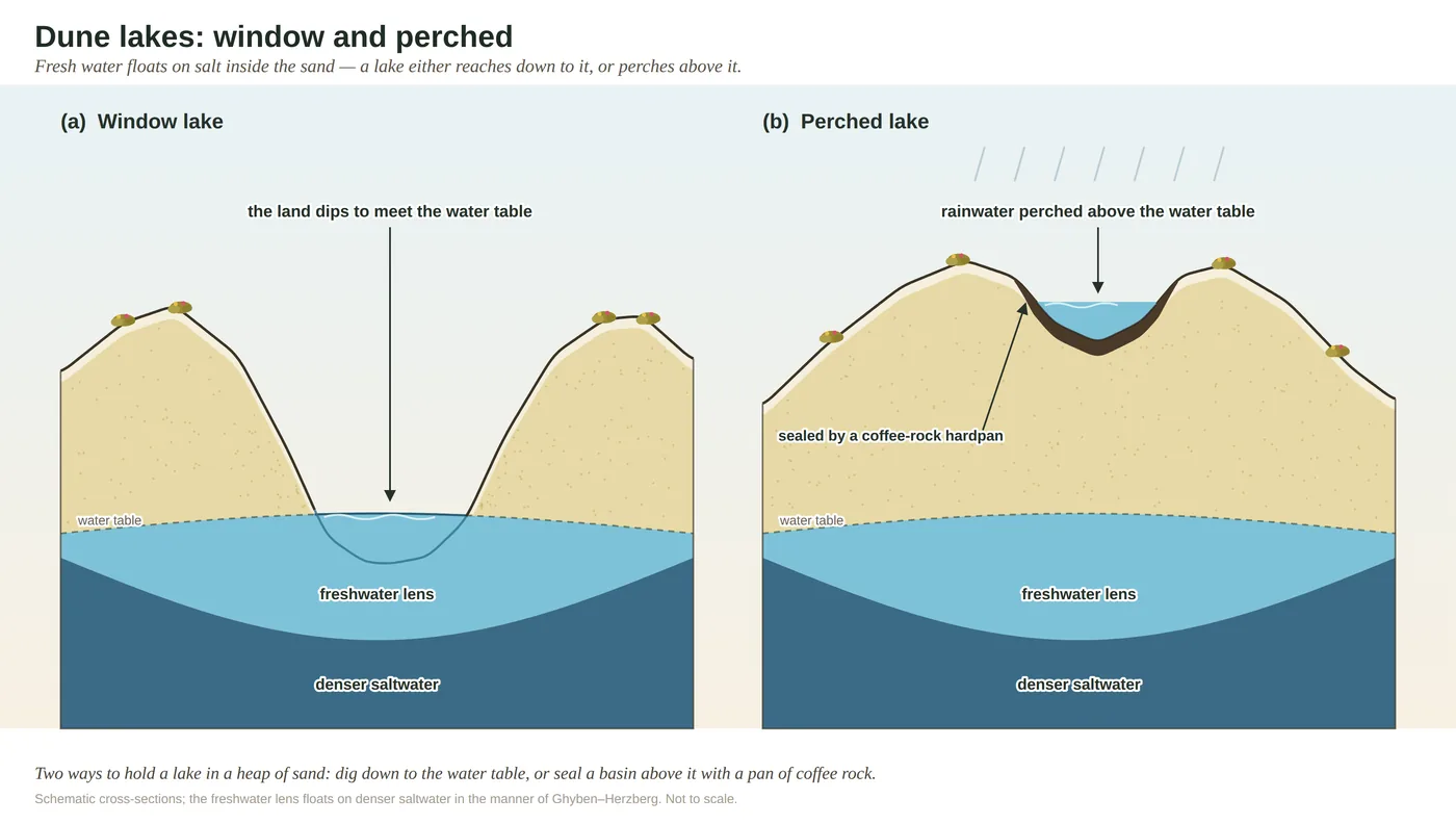 Water — the force that sorts the country — diagram