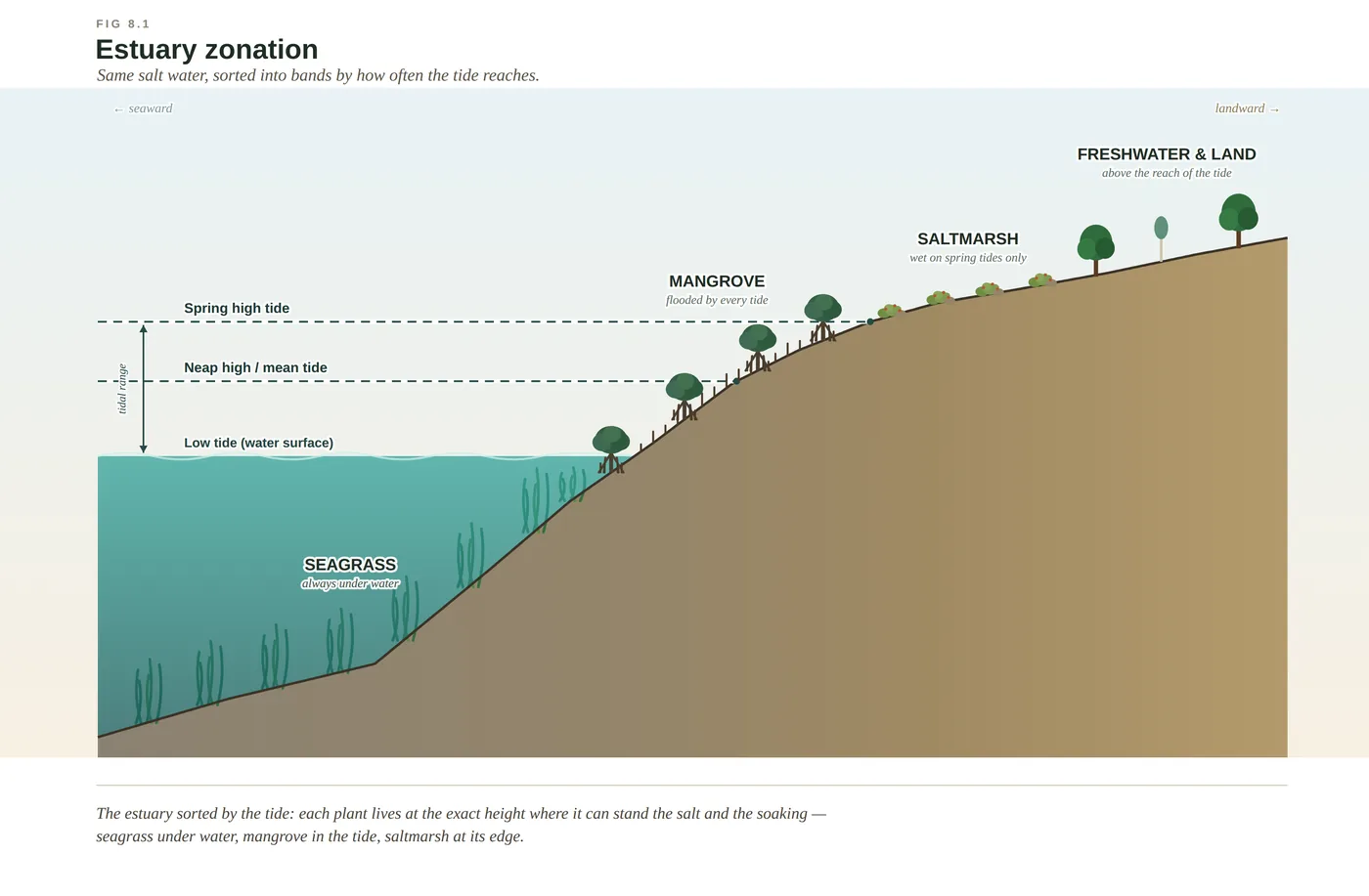 The Maroochy River flats — diagram