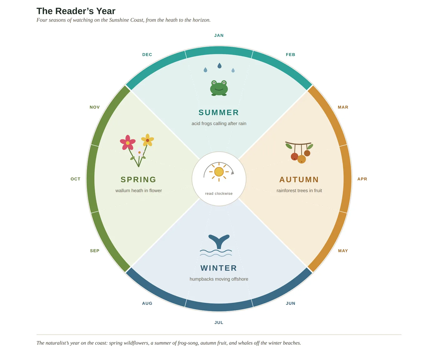 Autumn — the fruiting and the turn — diagram